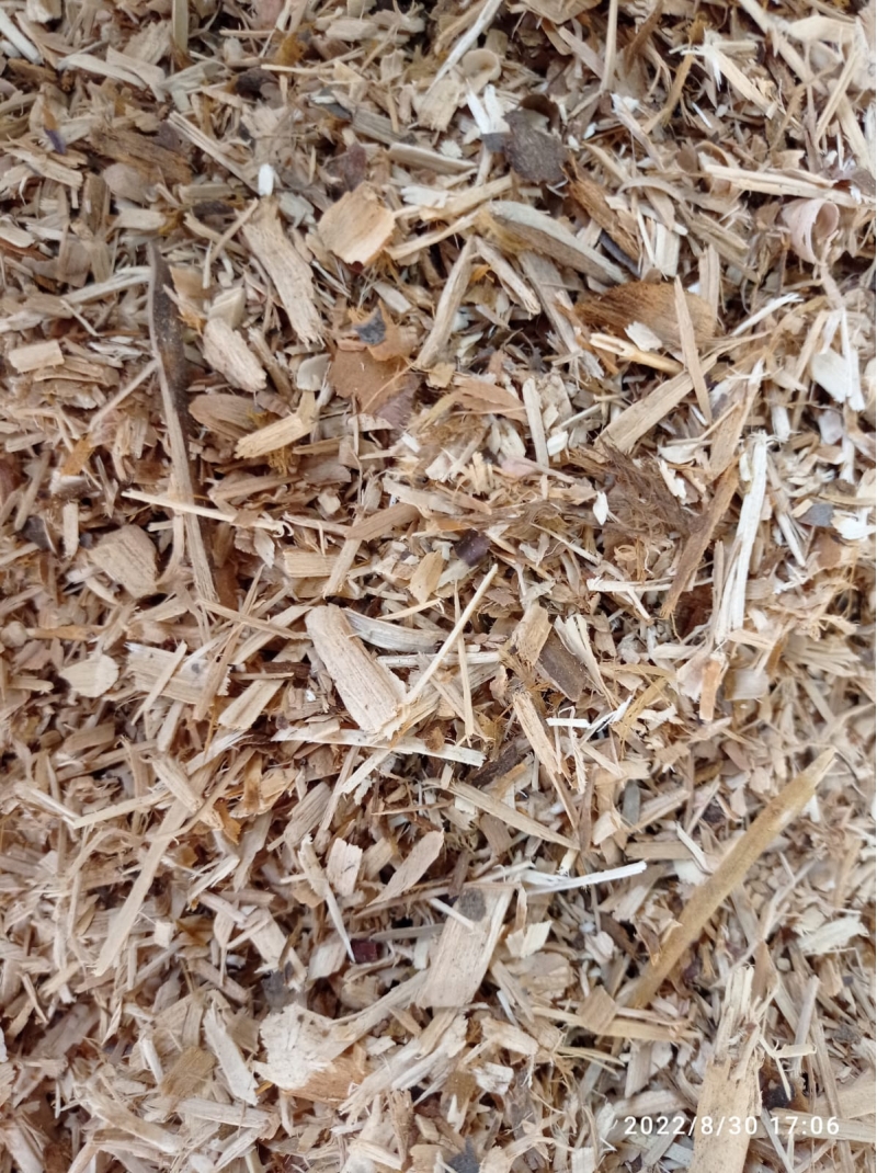 ��������� ���� �� �������������