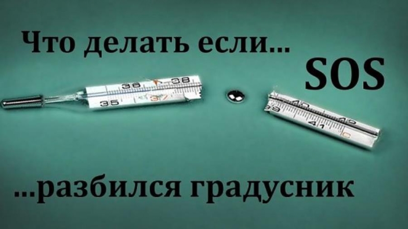 ������ �����, �������� ���������, ����� ����� ����� � ������ � �������