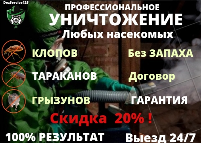 ����������� �����������, ������ ������,���������, ����,��������� ��� ������ 247