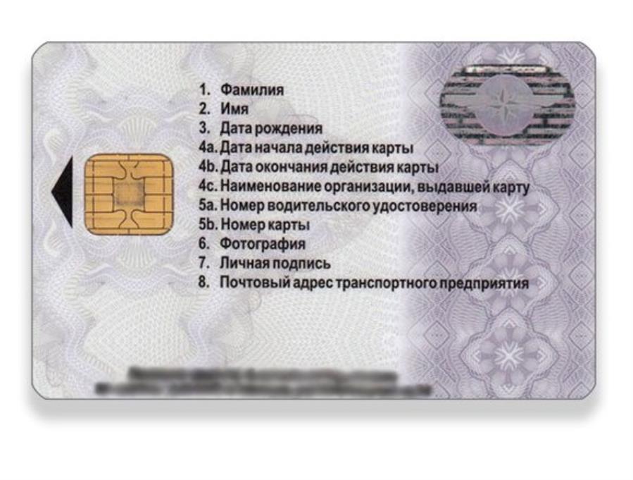 O�����e��e �ap�� �a�o�pa�a K���