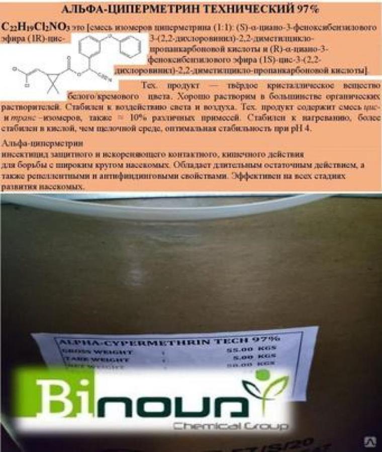 ��p�e�p��, �pa��e����, T�a���������, �e���o�, ���ep������