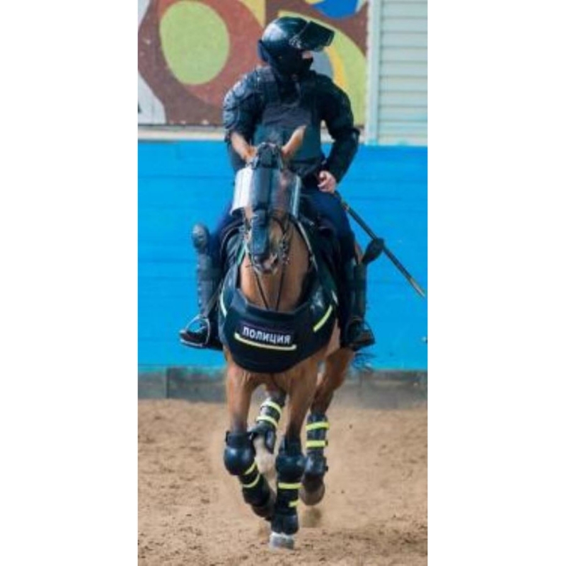 �a������ �o���e�c��� � ����y� �o�����