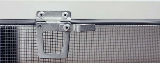 ������������� ���������������� �����