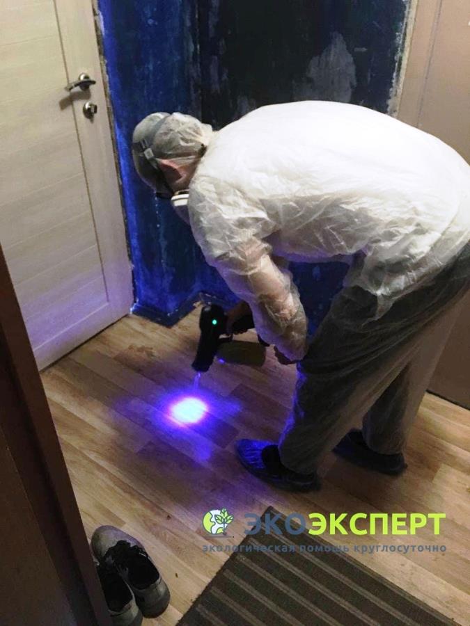 O��c��a o� p�y��. ������a��� ����x p�y���x �a�����e���