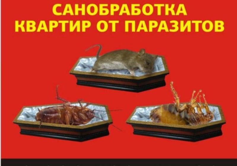 �����o�e��� �ace����x, ���ce��, �p�� � ���e�. ������e���� �o�e�e���