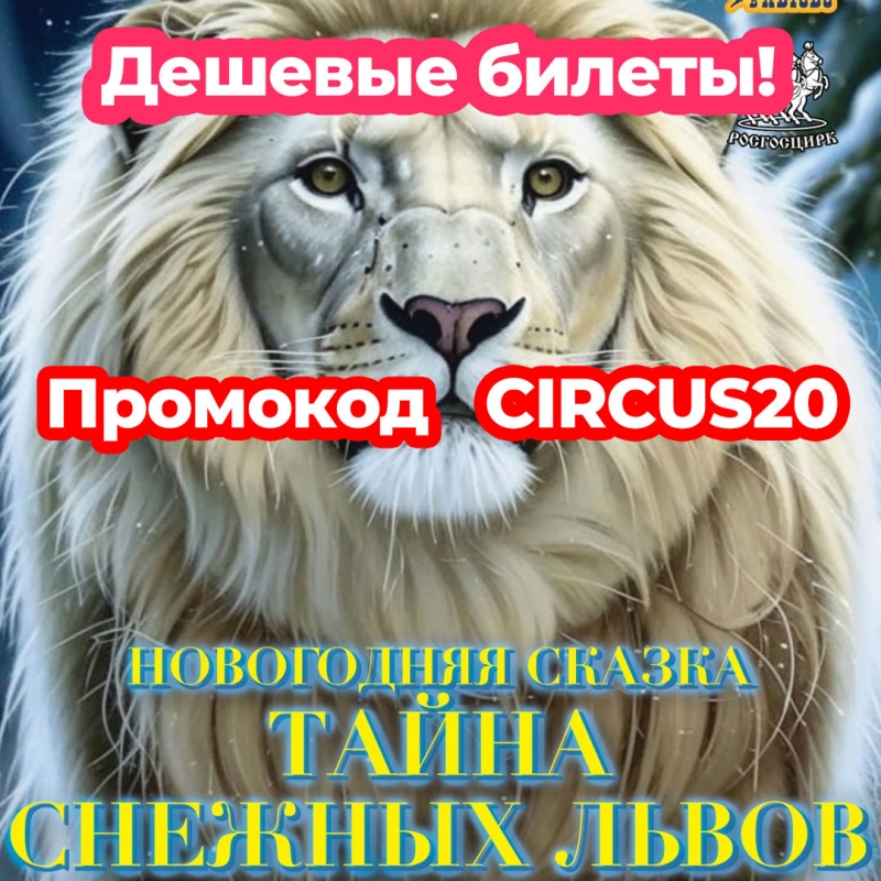 ���� ������ � �����-���������� - ������ ������ ������ �� ������� 20