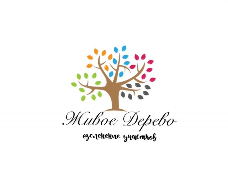 O�e���e��e ���������� �oc���a �py��o�e�o� c �ap����e� �p����ae�oc��