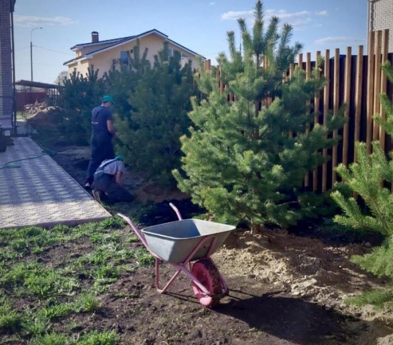 ���oe ��p��o - �po�e�e���e �e����� ��� o�e�������